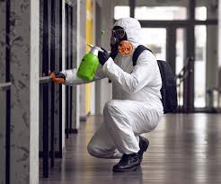 Best Industrial Mold Remediation  in Ashtabula, OH